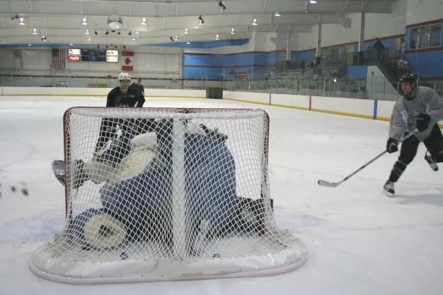 picture of hockey goalie in a fat suit as analogy for nucleophilic attack on a bulky electrophile todd gallagher