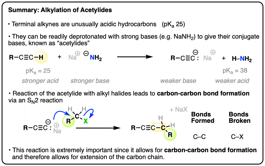 summary- alkylation of alkyynes through deprotonation and reaction with alkyl halides