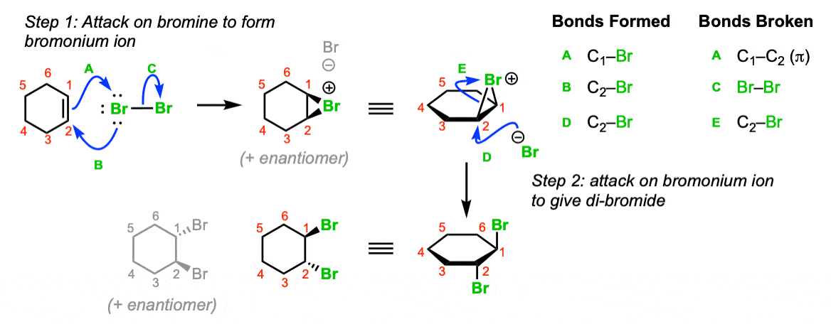 bromination of alkenes with br2 showing formation of bromonium ion intermediate then attack by bromide ion and formation of trans dibromide