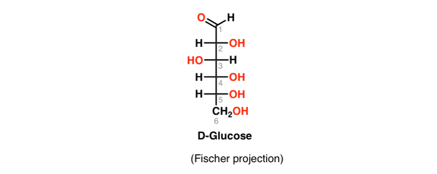 fischer-projection-of-d-glucose