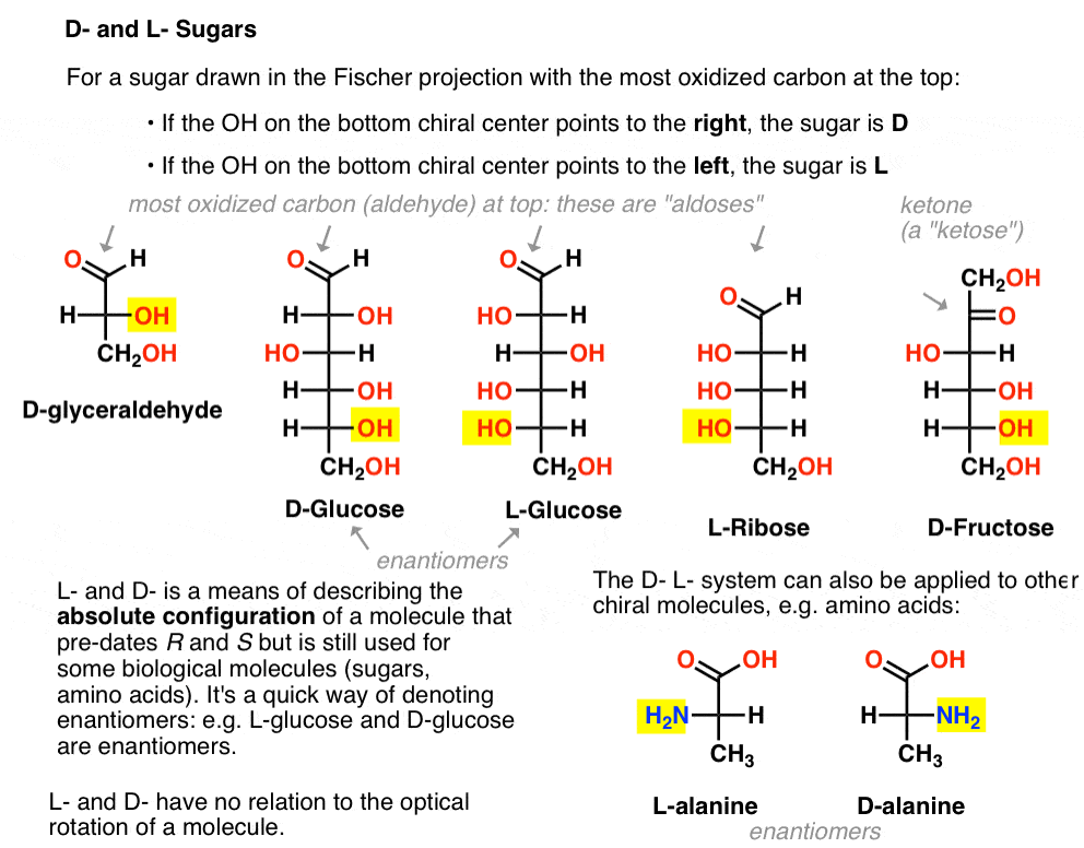 what-are-d-and-l-sugars-summary-in-fischer-projection-oh-on-bottom-chiral-center-points-to-right-it-is-d.