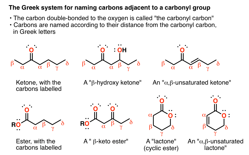 what is the alpha carbon in organic chemistry - it is the carbon adjacent to a carbonyl