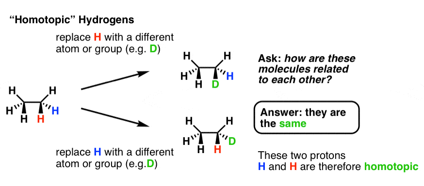 what is the meaning of homotopic example ethane replace any hydrogen with D and get the exact same molecule homo equals the same
