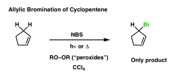 allylic-bromination-of-cyclopentene-gives-substitution-adjacent-to-c-c-pi-bond