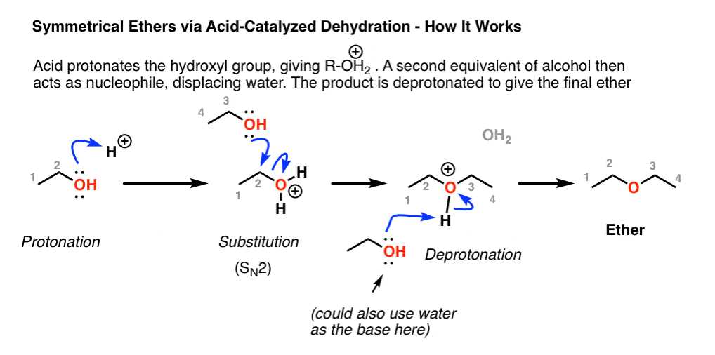 acid catalyzed formation of symmetrical ethers mechanism curved arrow protonation of alcohol sn2 reaction deprotonation