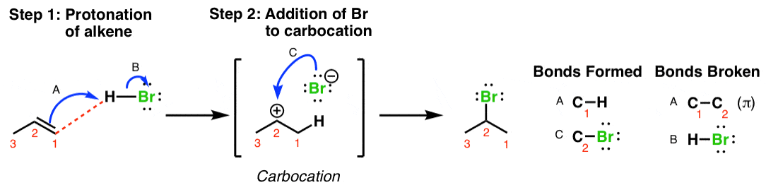 mechanism-for-addition-of-hbr-to-alkenes-protonation-of-double-bond-followed-by-attack-of-bromide-ion-on-carbocation
