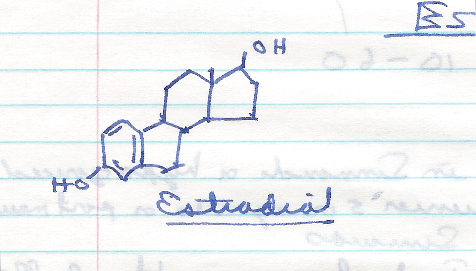 hand-drawing-of-estradiol.