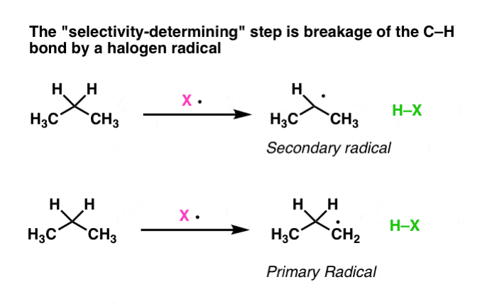 in-free-radical-halogenation-selectivity-determinine-step-is-breakage-of-c-h-bond-by-halogen-radical-primary-versus-secondary