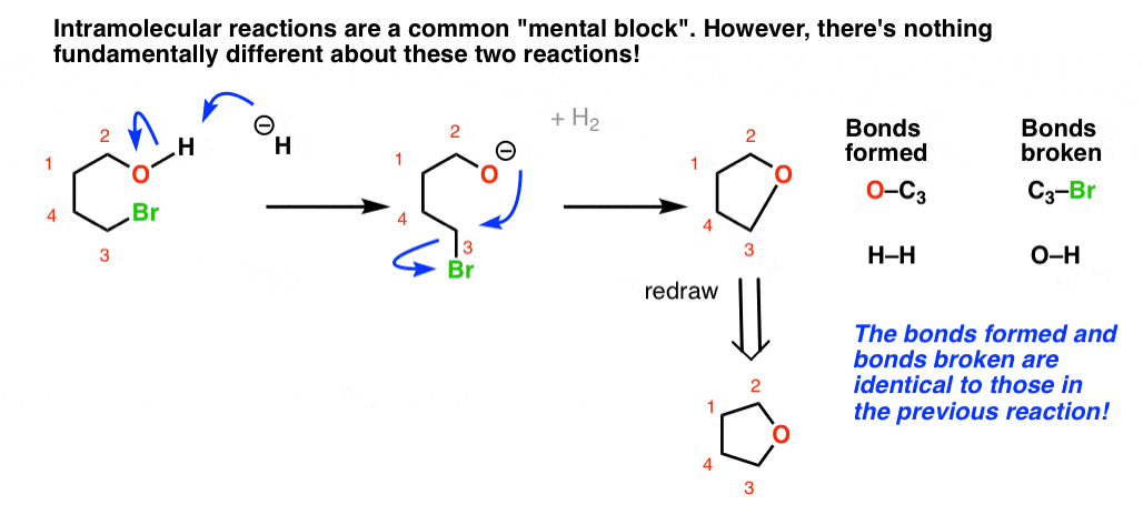 nothing fundamentally different about an intramolecular and intermolecular reaction bonds formed and bonds broken are exactly the same