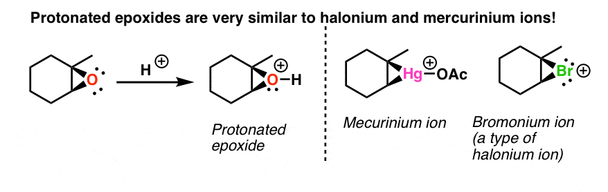 protonated epoxides very similar to halonium mercuriniium ions behave the same way 3 membered ring pathway