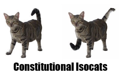 constitutional-isocats