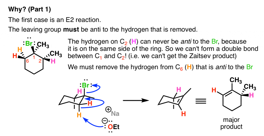 e2 reaction on cyclohexane ring where deprotonation can only give anti zaitsev product