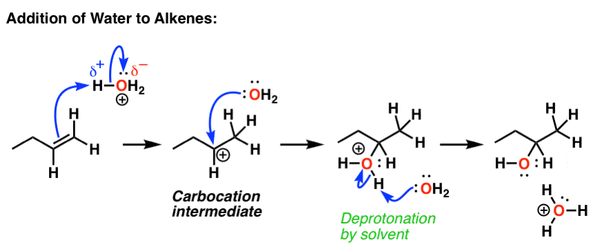 addition of water to alkenes mechanism arrow pushing