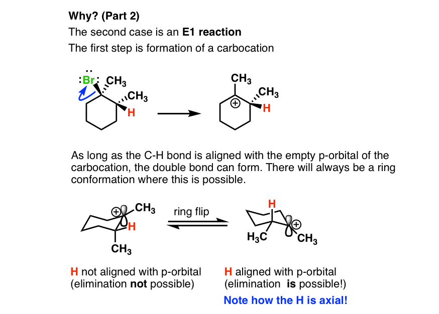 e1 reaction on cyclohexyl ring will always follow zaitsev rule alignment of h with p orbital