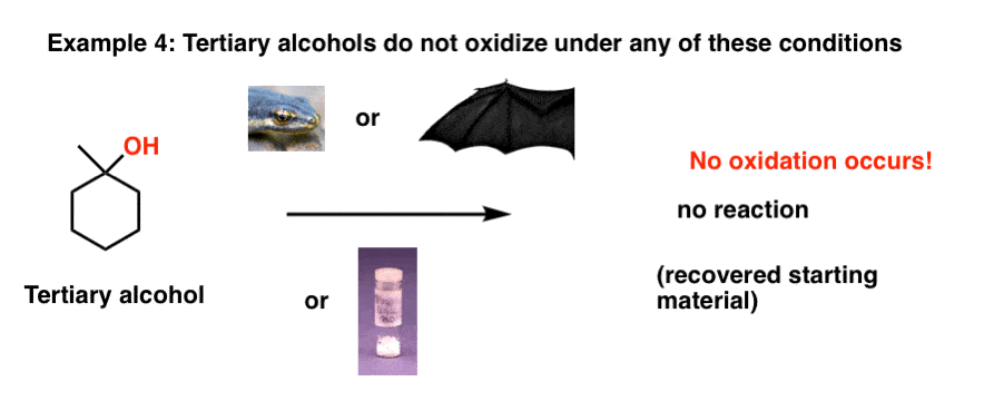 no matter what the oxidant tertiary alcohols are not oxidized with either strong or weak oxidants