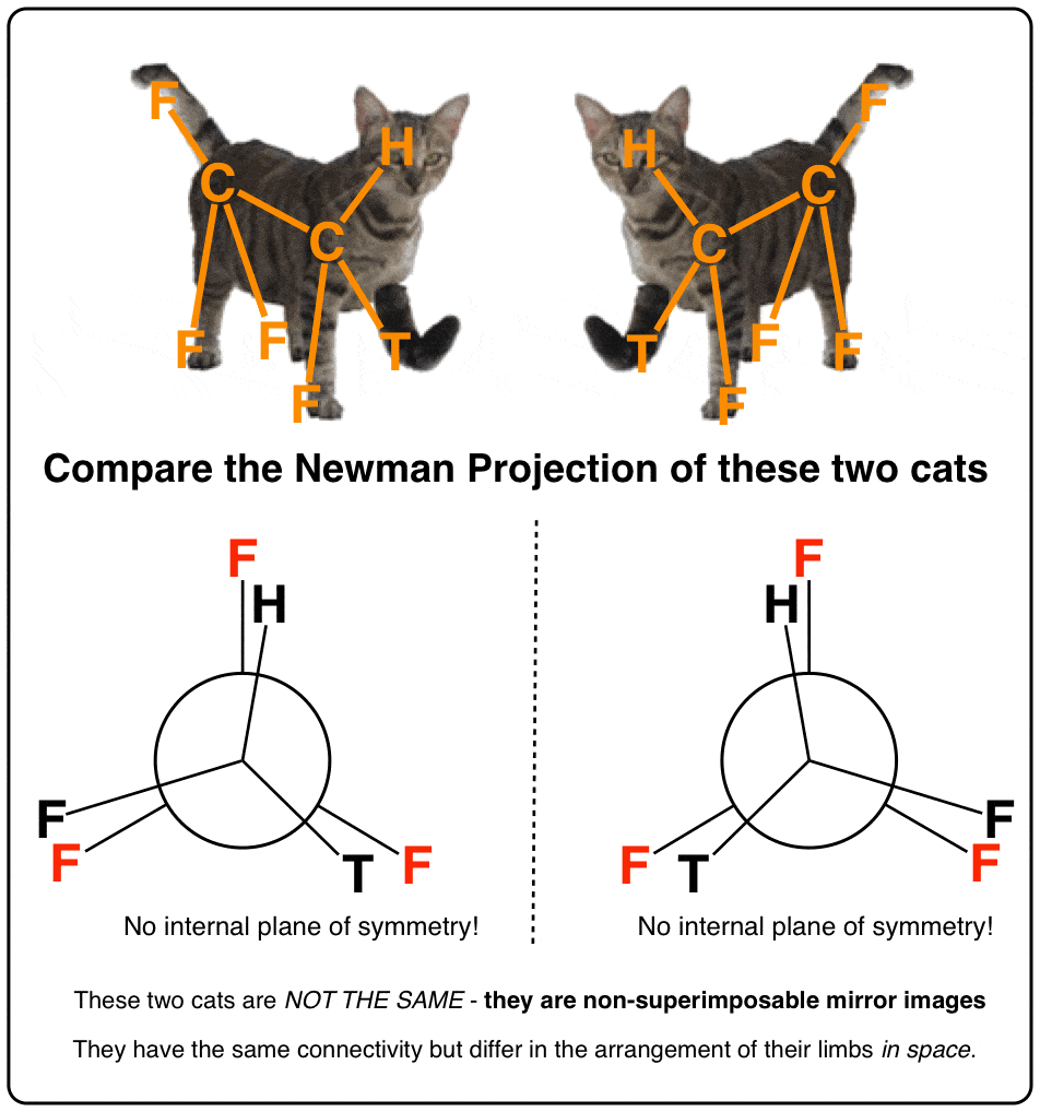 two-enantiomeric-cats-with-tails-and-feet-switched-newman-projection-shows-they-are-non-superimposable-mirror-images