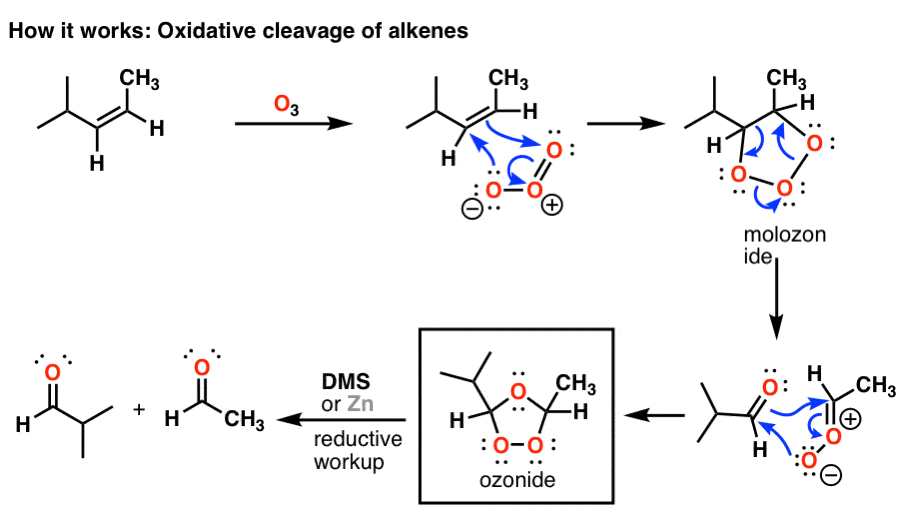 mechanism-for-the-oxidative-cleavage-of-alkenes-with-o3