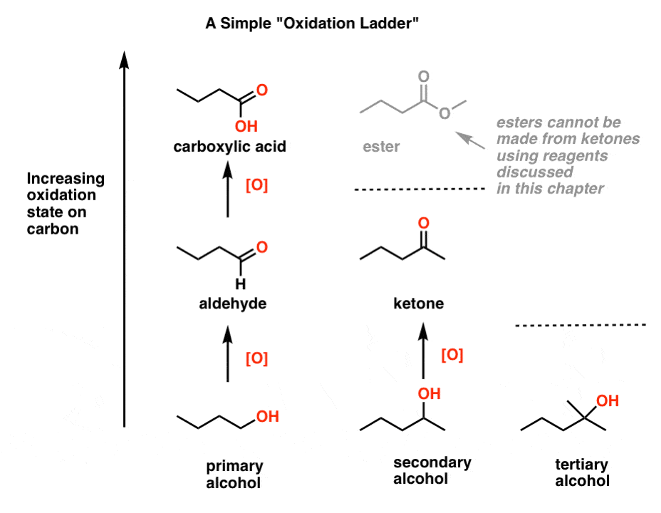 simple oxidation ladder showing increase in oxidation state going from primary alcohol to aldehyde to carboxylic acid and secondary alcohol to ketone but no transition to ester