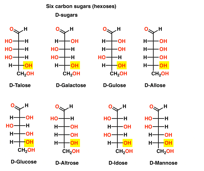 all-eight-l-sugars-drawn-in-fischer-projection