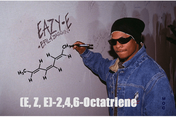 Eazy-E-teaches-E-and-Z-2E-4Z-6E-Octatri-2,4,6-ene-2