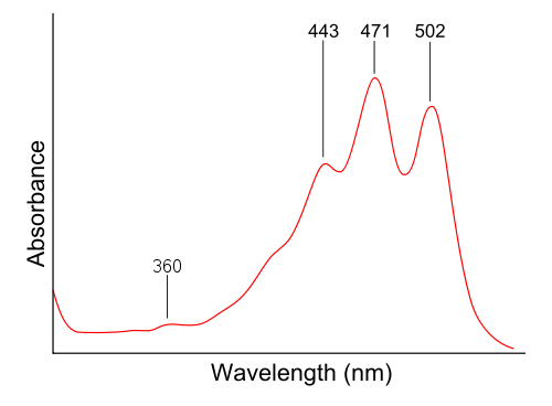 uv vis spectrum of lycopene and chlorophyll have multiple absorption maxima not as easy to determine color wikipedia image