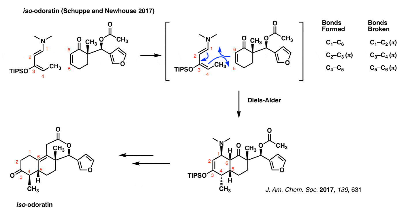 classic example of diels alder reaction in synthesis of iso odoratin by newhouse 2017