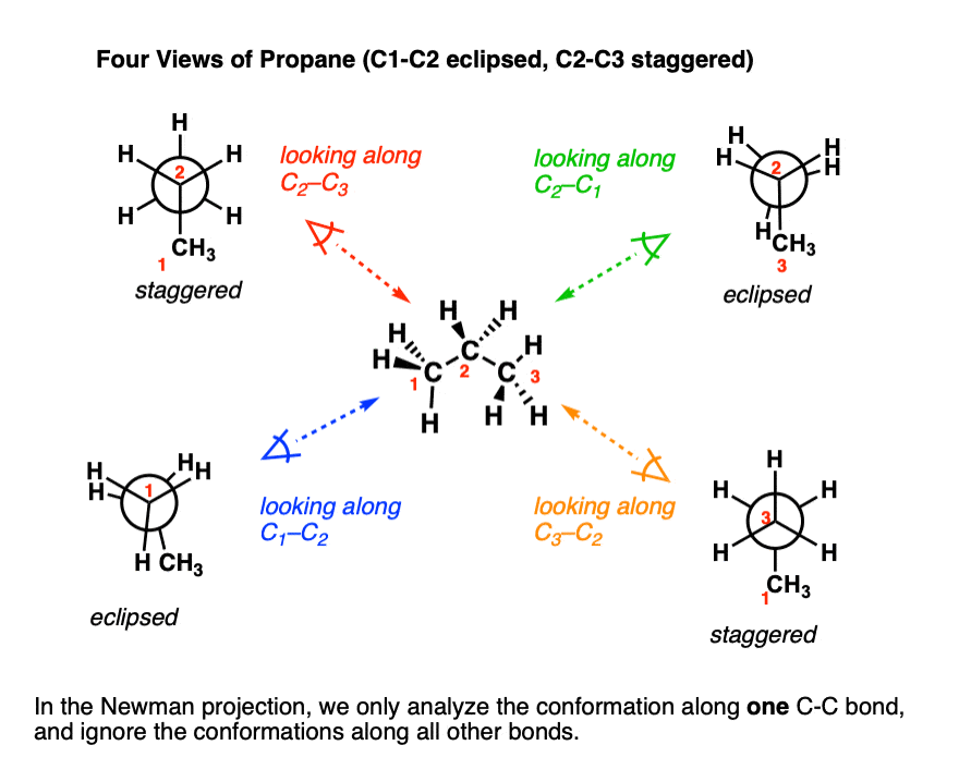 isomers conformational conformation projection projections