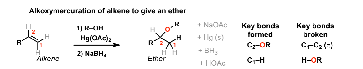 Oxymercuration of Alkenes to form Ethers using Hg(OAc)2 Master