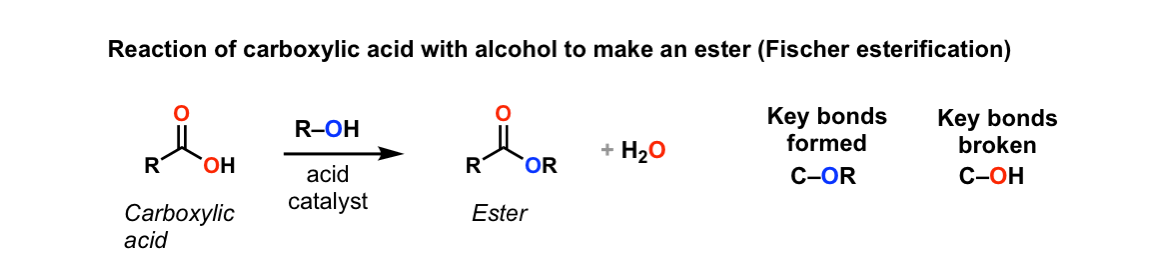 1-reaction of carboxylic acid with alcohol to make ester fischer esterification.gif