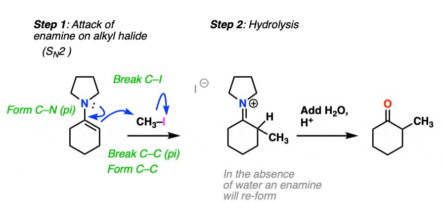 mechanism-for-alkylation-of-enamine-using-ch3i.