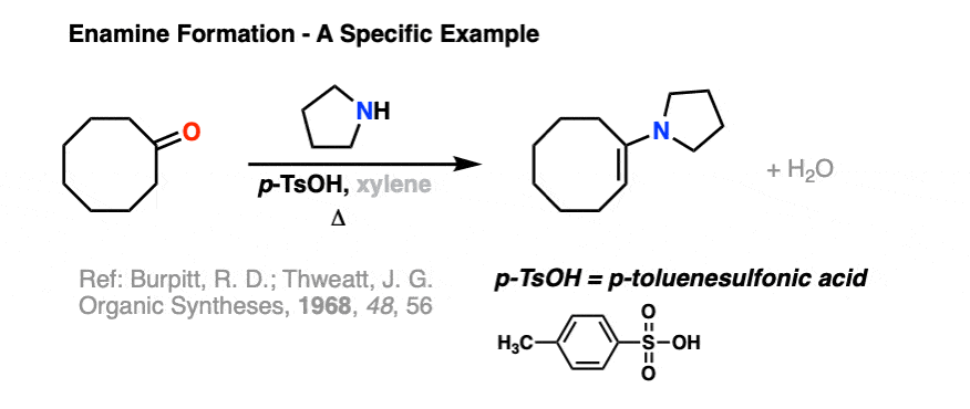 specific-example-of-enamine-formation-from-ketone-org-syn-1968-48-56
