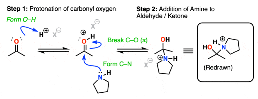 formation-of-enamines-from-aldehydes-ketones-and-secondary-amines-addition