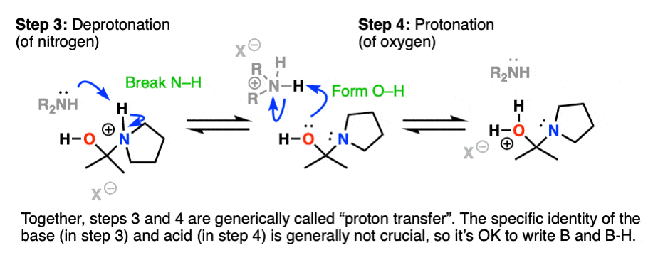 formation-of-enamines-from-aldehydes-and-ketones-secondary-amines-proton-transfe