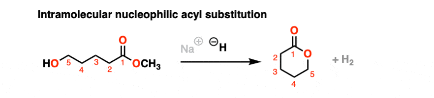 example of intramolecular nucleophilic acyl substitution