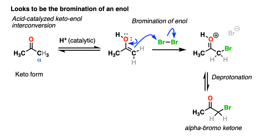 acid catalyzed bromination of enol mechanism