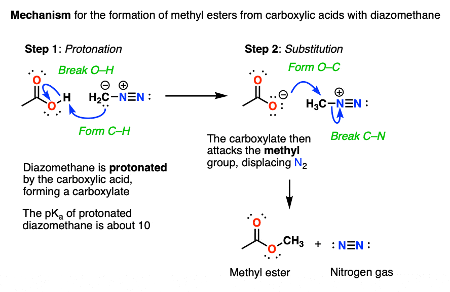 mechanism for the reaction of carboxylic acids with diazomethane to give methyl esters begin with protonation