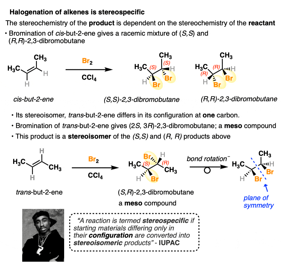 halogenation of alkenes stereospecific