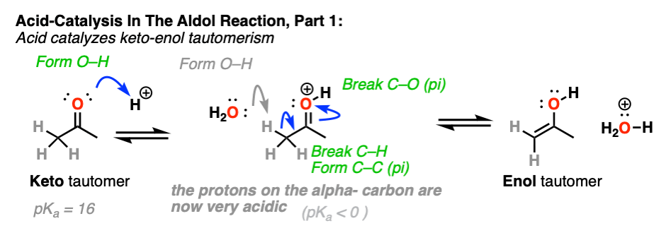 acid catalyzed aldol reaction mechanism keto enol tautomerism
