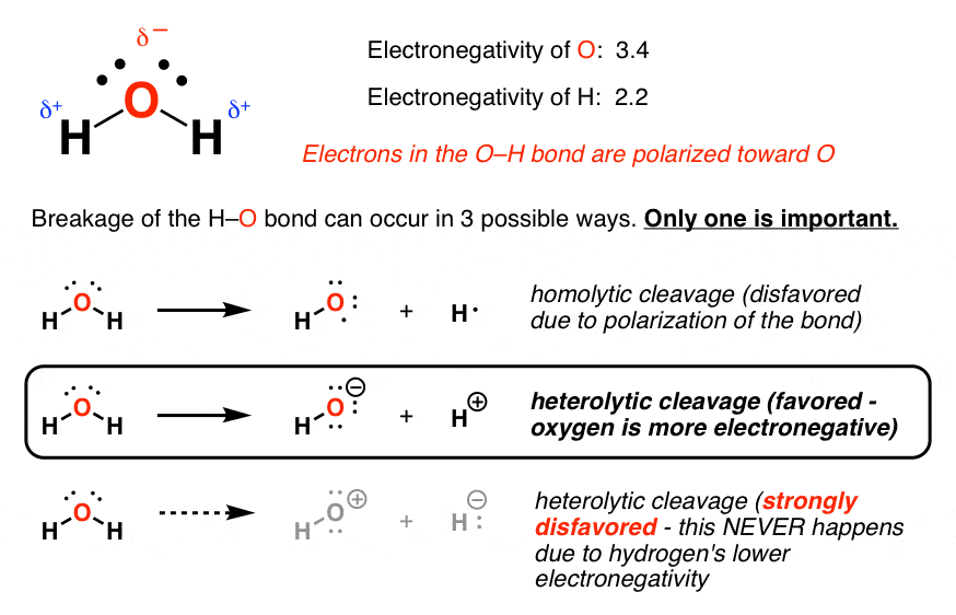 h2o drawn as lewis structure with lone pairs and partial charges shown electronegativity difference shown electrons in o h bond are polarized toward oxygen