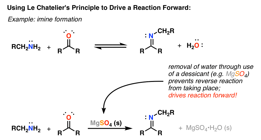 اصل le chateliers برای به جلو بردن واکنش تشکیل ایمین از ماده خشک کننده در تشکیل ایمین برای حذف آب استفاده می کند و منجر به واکنش کامل می شود.