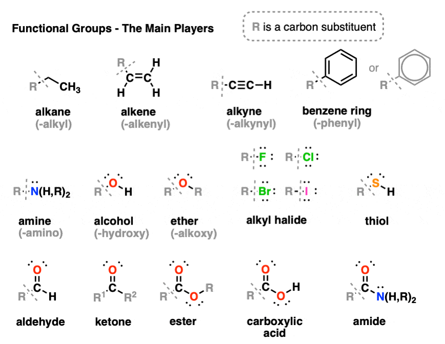 -most important funcdtional groups alkane alkene alkyne benzene ring amine alcohol ether alkyl halide thiol aldehyde ketone ester carboxylic acid amide