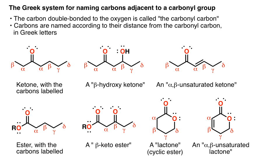 What's The Alpha Carbon In Carbonyl Compounds?