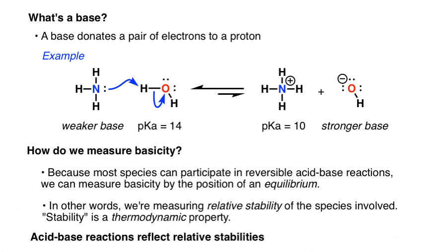 What Does Basicity Mean