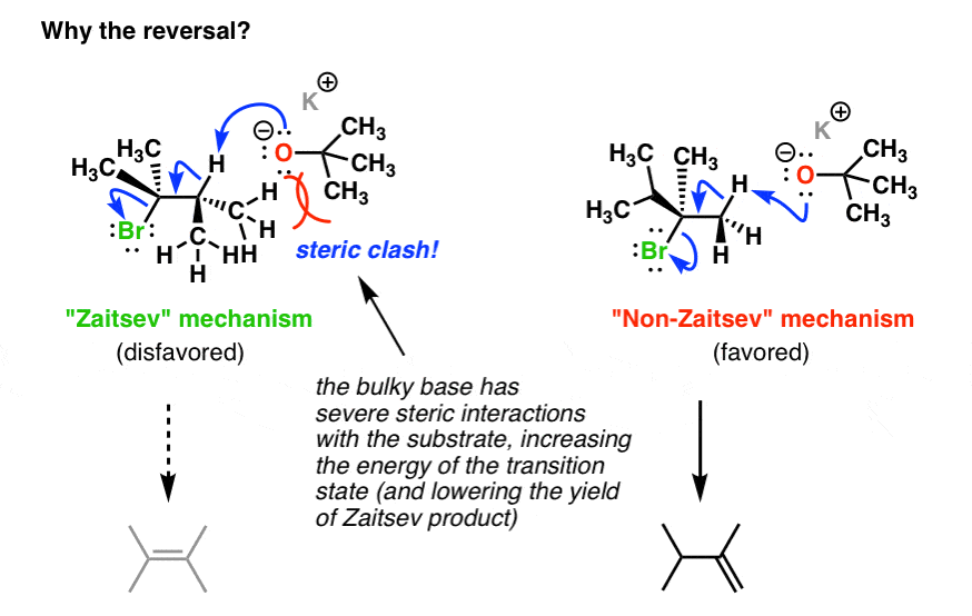 Bulky Bases in Elimination Reactions Master Organic Chemistry