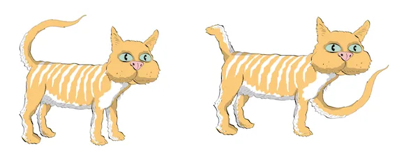 constitutional isocats with same components and different connectivity switch foot and tail
