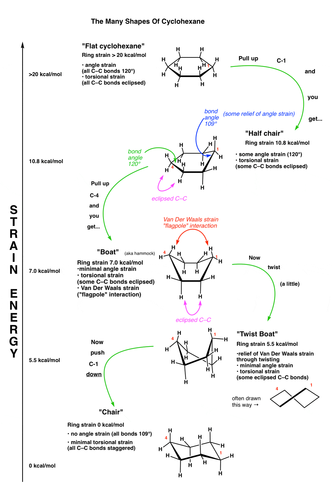 full diagram showing strain energy of various forms of cyclohexane chair twist boat boat half chair flat cyclohexane
