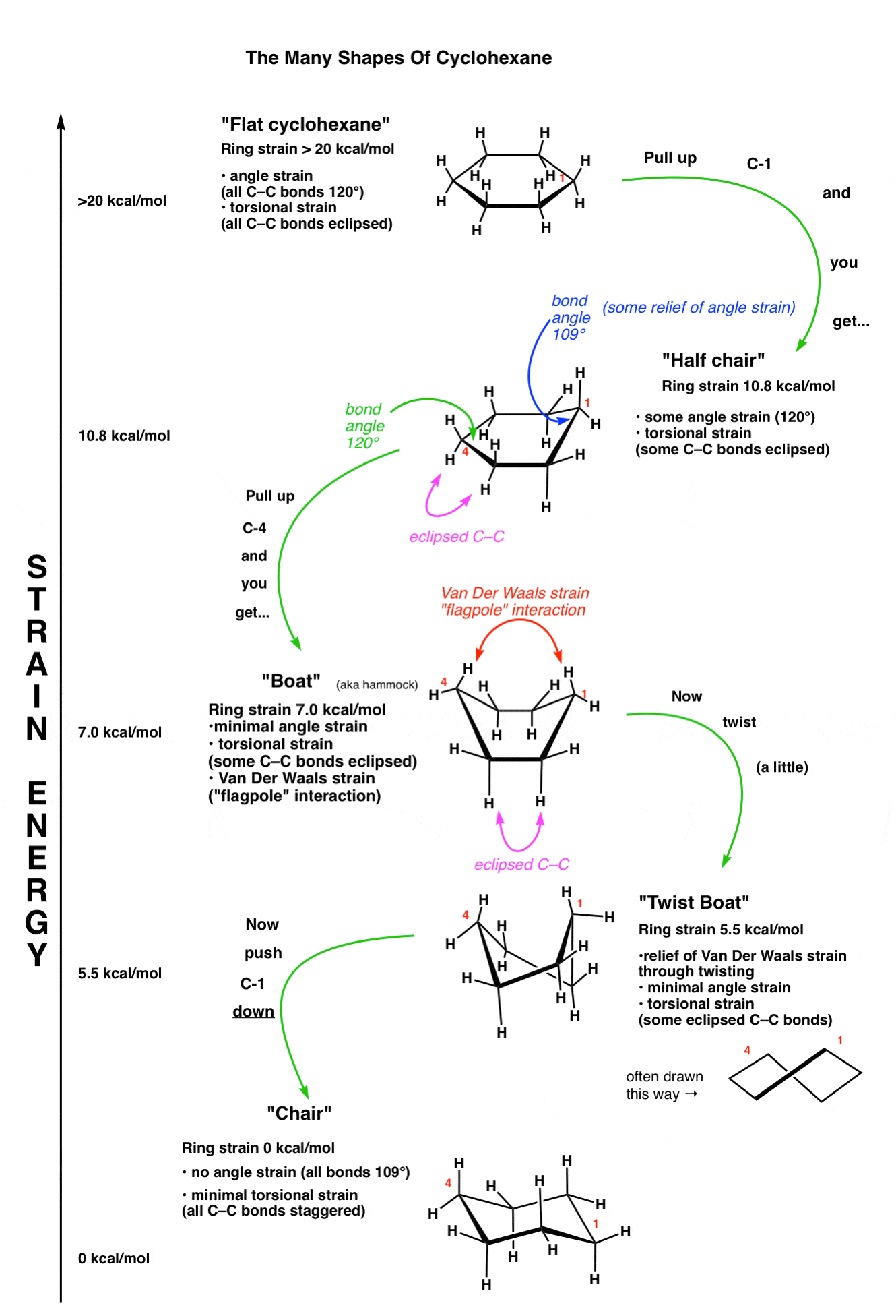 Cycloalkanes - Ring Strain In Cyclopropane And Cyclobutane