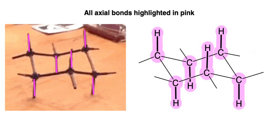 model of cyclohexane chair with axial groups labelled in pink cyclohexane chair drawing-update