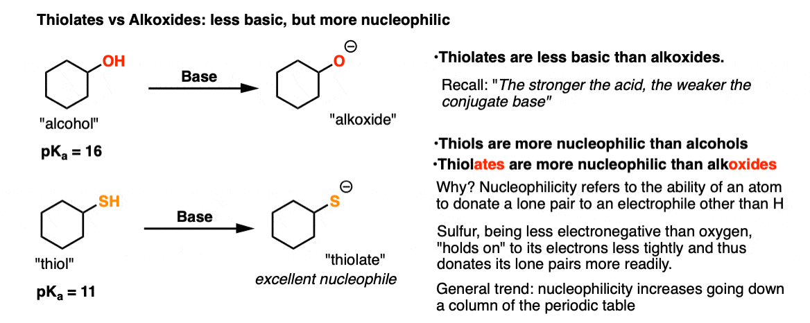 -thiols versus alkoxides thiols are less basic but more nucleophilic they react more rapidly with electrophiles nucleophilicity increases going down the periodic table