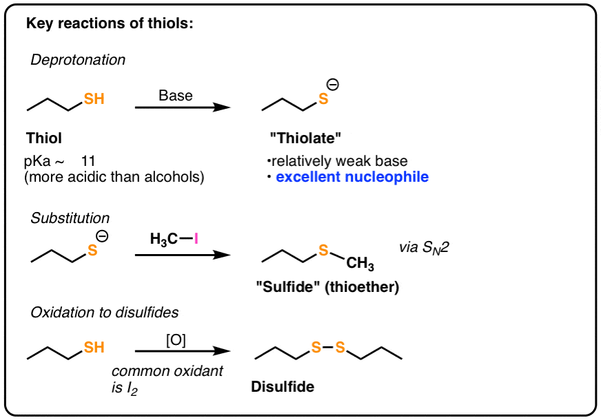 Thiols And Thioethers Master Organic Chemistry